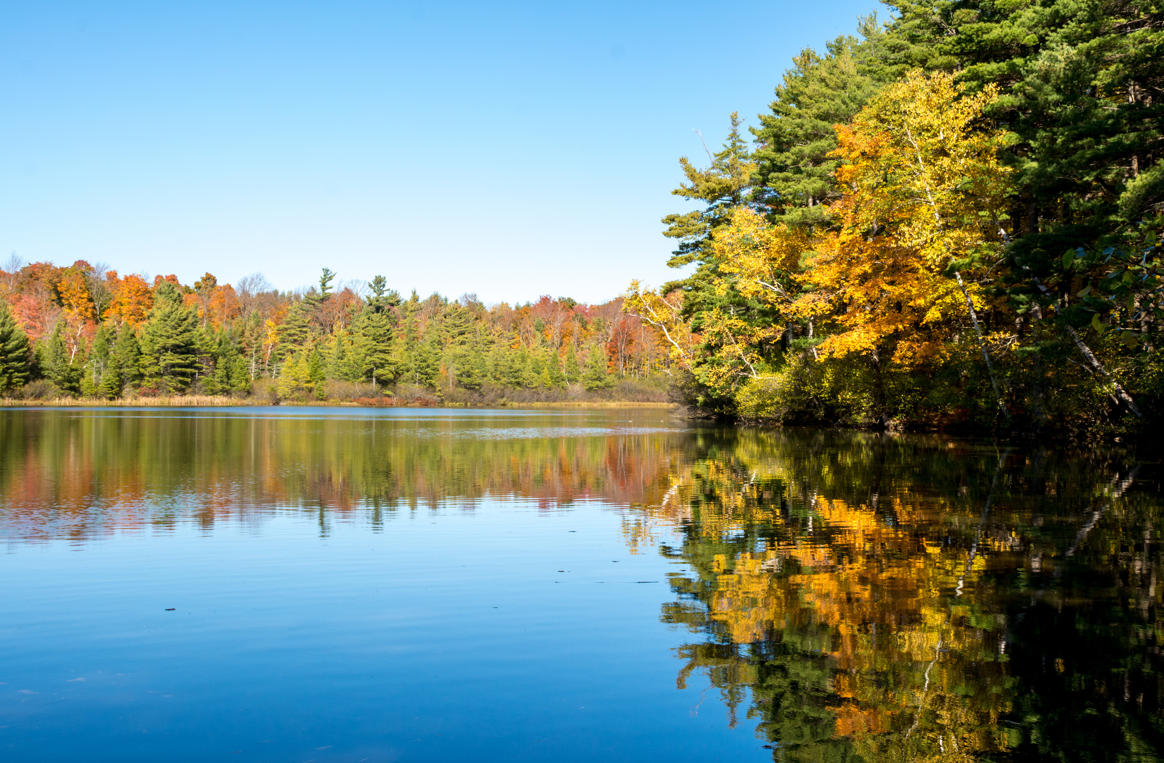 Fall foliage at Equinox pond in Vermont